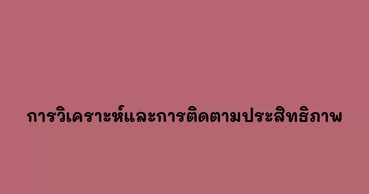 การวิเคราะห์และการติดตามประสิทธิภาพ