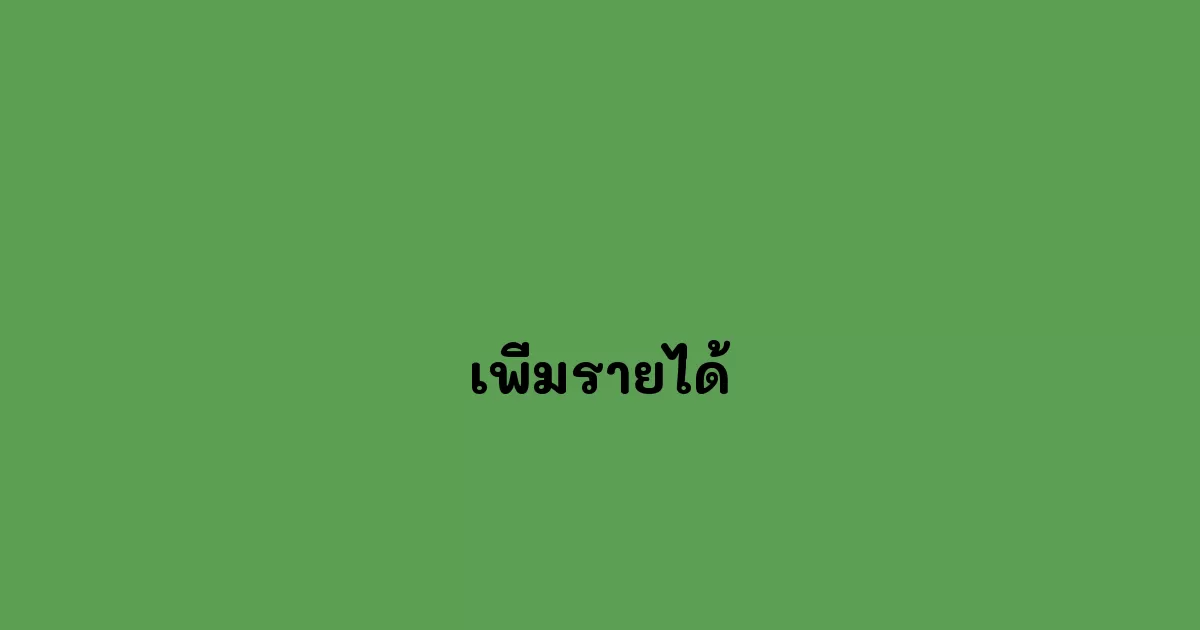 เพิ่มรายได้